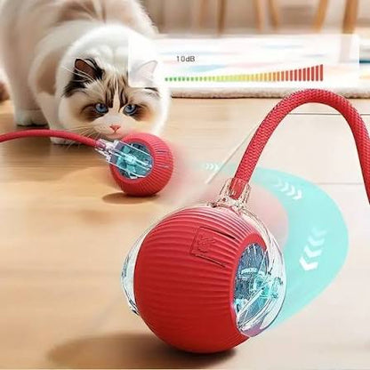 😎PELOTA DE ENTRETENIMIENTO PARA MASCOTAS😇